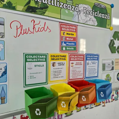 Ziua Mondială a Reciclării: cum se sortează deșeurile — fotografie 4