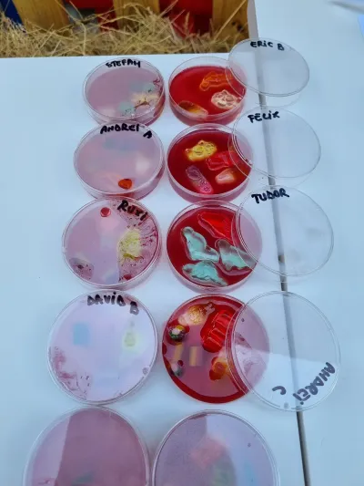 Săptămâna STEM: vulcani, curcubeu, spațiu și microbiologie — fotografie 48