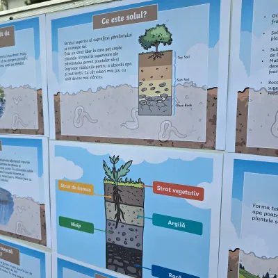 The layers of the soil and the world beneath our feet — photo 14