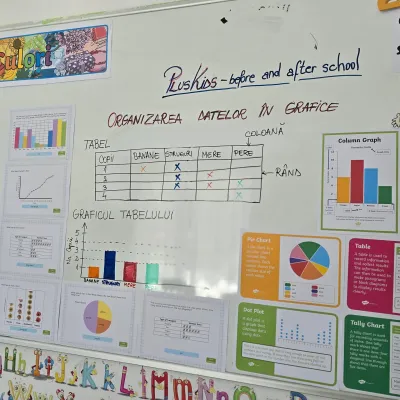 How to read a chart, in the primary classes — photo 1