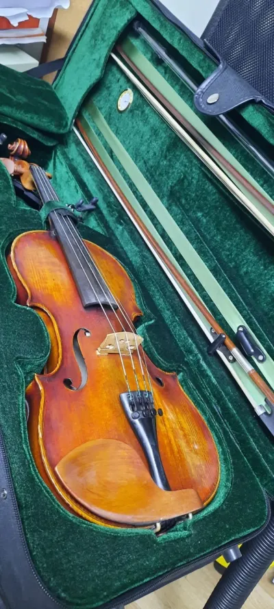 Eclipses, a violin and the giant number line — photo 1