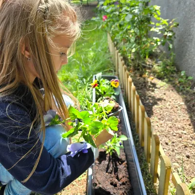 Săptămâna verde: flori și semințe plantate de copii — fotografie 10