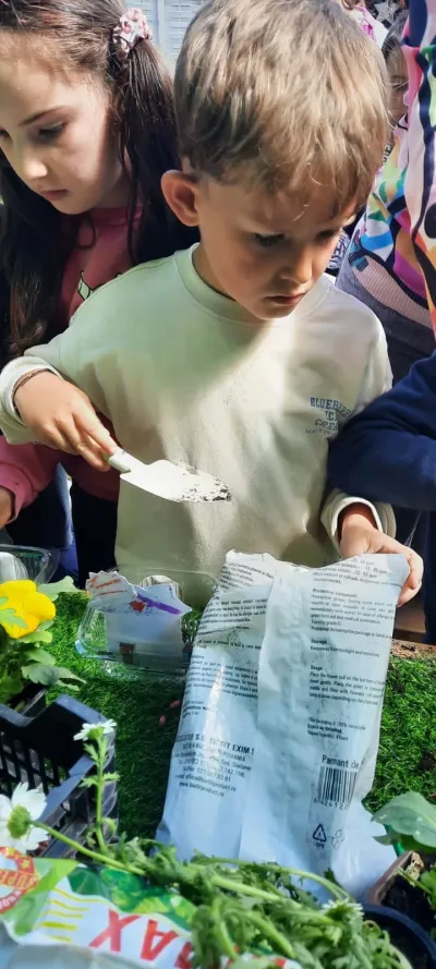 Săptămâna verde: flori și semințe plantate de copii — fotografie 13