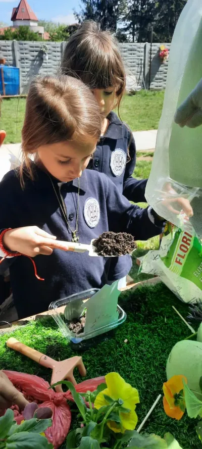 Săptămâna verde: flori și semințe plantate de copii — fotografie 16