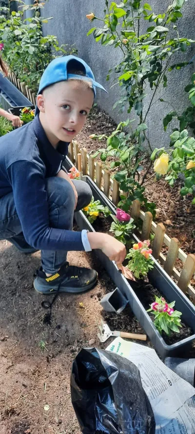 Săptămâna verde: flori și semințe plantate de copii — fotografie 17