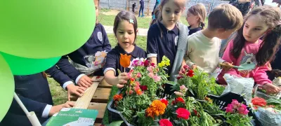 Săptămâna verde: flori și semințe plantate de copii — fotografie 21