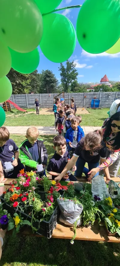 Săptămâna verde: flori și semințe plantate de copii — fotografie 22