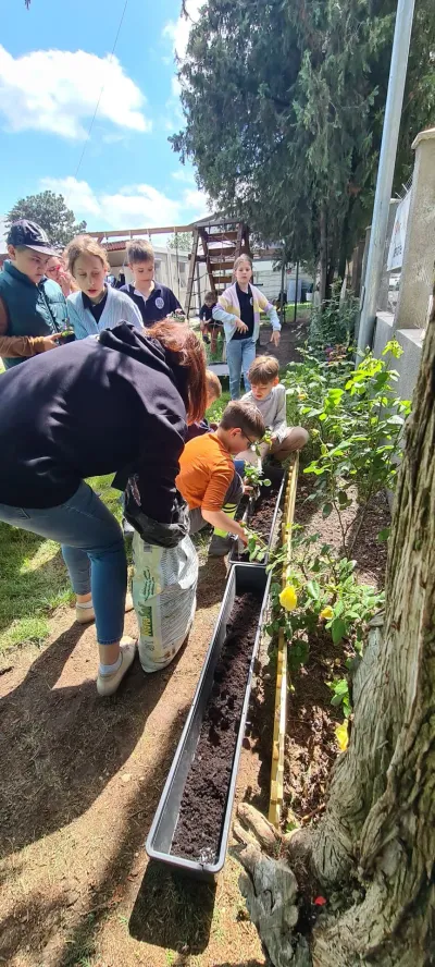 Săptămâna verde: flori și semințe plantate de copii — fotografie 23