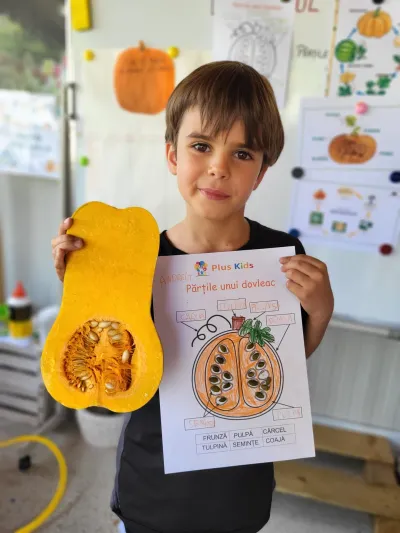 Times tables on a keyring, the water cycle and the pumpkin, star of autumn — photo 12