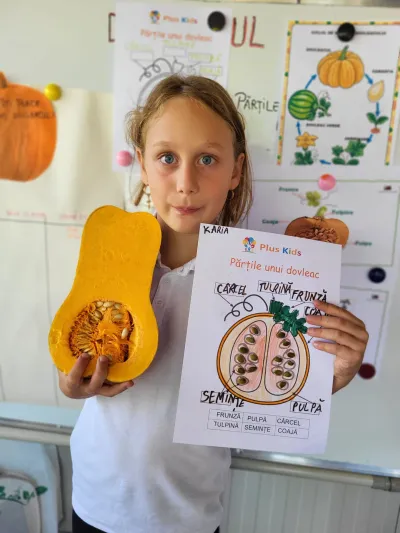 Times tables on a keyring, the water cycle and the pumpkin, star of autumn — photo 13