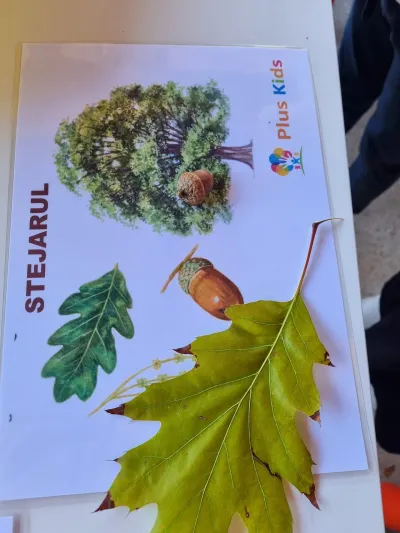 Ziua Recoltei: murături, forme de relief și Noaptea Cercetătorilor — fotografie 16