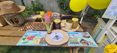 A summer where children have fun and catch up on the syllabus — photo 47