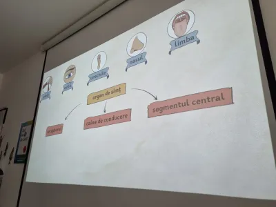 How the 2024 Summer School was built: ten themed weeks — photo 62