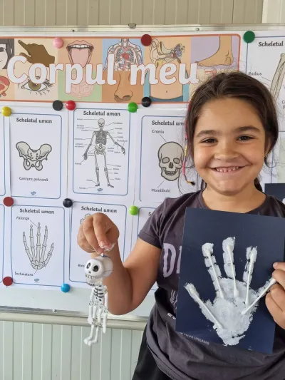 Human body week: muscles, skeleton and internal organs — photo 3