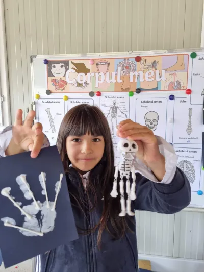 Human body week: muscles, skeleton and internal organs — photo 7