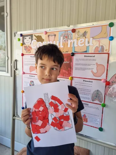 Human body week: muscles, skeleton and internal organs — photo 9