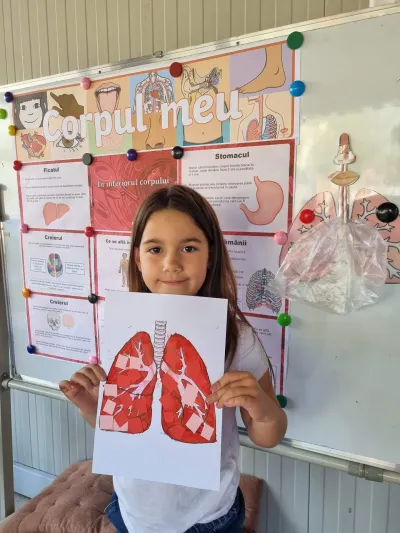 Human body week: muscles, skeleton and internal organs — photo 10
