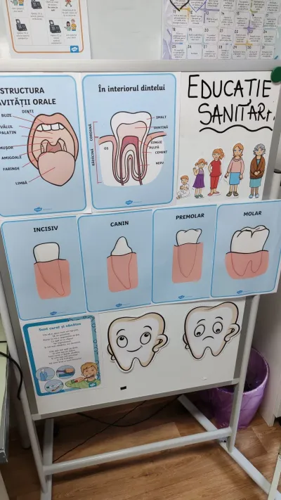 Week 3: health education, from hygiene to first aid — photo 34