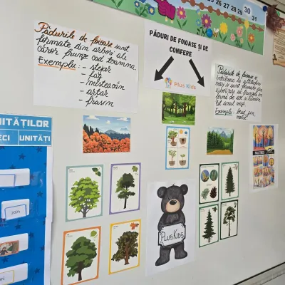 Week three: homework, educational projects and growing confidence — photo 1