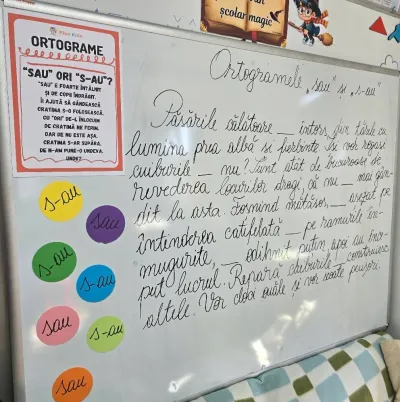 Week three: homework, educational projects and growing confidence — photo 10