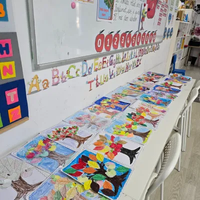 Week three: homework, educational projects and growing confidence — photo 17