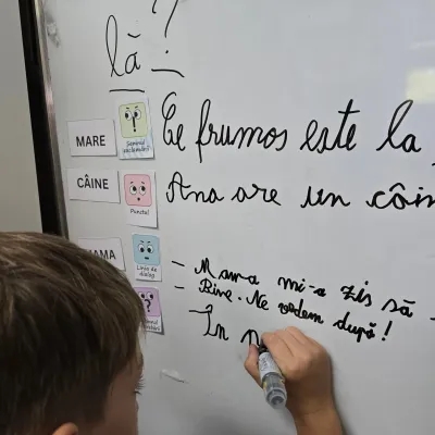 Week three: homework, educational projects and growing confidence — photo 36